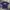 Dickies Casual T-shirt Pria purple photo 2