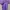 Sportswear Kids purple photo 1
