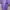 Sportswear Kids purple photo 2