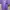Sportswear Kids Purple