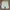Cotton On Casual Short Pria multicolor green photo 3