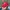 Sportswear Casual Hat Pria red photo 2