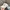 Vintage Streetwear Hat Pria white photo 2