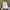 Vintage Casual Hat Pria cream photo 6