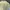 Vintage Casual Hat Pria cream photo 7