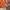 Nike Y2K Sportswear Jersey Pria orange photo 6