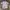 H&M Streetwear Y2K T-shirt Pria purple white photo 3