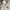 Streetwear Y2K Hoody Pria white photo 4