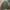 ZARA Grunge Casual Formal shirt Pria green photo 8