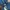 Lacoste Y2K Sportswear Bomber jacket Pria blue photo 3