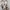Kappa Casual Sneakers Pria white photo 5