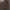VANS Vintage Streetwear Casual shirt Pria gray photo 2