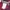 Abercrombie & Fitch Skater Emo Sweater Pria red photo 2