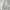 Fluke Skateboard Casual Hoody Pria gray photo 1