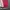 Streetwear Minimalist Sweatshirt Pria red gray photo 4