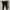 Adidas Sportswear Legging Wanita black photo 1