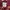 Hollister Casual Pria red photo 4