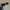 Vintage Y2K Glass Pria brown black photo 6