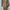 Chloé Casual Going Out Dress Wanita Brown