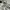 Stussy Vintage Y2K Casual shirt Pria white photo 7
