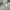 Stussy Vintage Y2K Casual shirt Pria white photo 5
