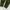 Nike Sportswear Tracksuit Pria green photo 3