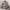 Beauty & Youth United Arrows Vintage Casual Puffer Jacket Pria Cream