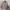 Beauty & Youth United Arrows Vintage Casual Puffer jacket Pria cream photo 3