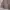 Beauty & Youth United Arrows Vintage Casual Puffer Jacket Pria Cream