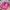 Casual Sandals & slide Wanita multicolor photo 1
