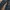 Poshboy Vintage Biker Jeans Pria navy blue photo 5