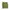 Stussy Minimalist Short Wanita green photo 3