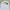 Le Coq Sportif Casual Polo shirt Pria white photo 2