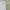 Le Coq Sportif Casual Polo shirt Pria white photo 4
