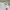 Le Coq Sportif Casual Polo shirt Pria white photo 3