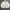 Burberry Luxury Windbreaker Pria White