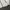 Burberry Luxury Windbreaker Pria white photo 4