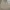 Calvin Klein Vintage Sweater Pria tan photo 1