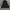 Adidas Casual Windbreaker Pria black photo 6
