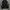 Adidas Casual Windbreaker Pria black photo 5