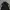Adidas Casual Windbreaker Pria black photo 2