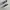 Converse Biker Casual Sneakers Pria white black photo 1