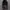 Jeep Luxury Hat Pria black gray photo 4