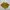 Two piece flower ruched set by photo 6