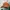 Sportswear Casual Hat Pria brown orange photo 2