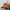 Sportswear Casual Hat Pria Brown Orange