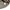 Topten Casual Sweatshirt Pria tan photo 4