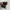 Nike Sportswear Sneakers Pria multicolor photo 3