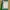 Minimal Minimalist Wanita white green photo 3