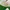 Minimal Minimalist Wanita white green photo 5